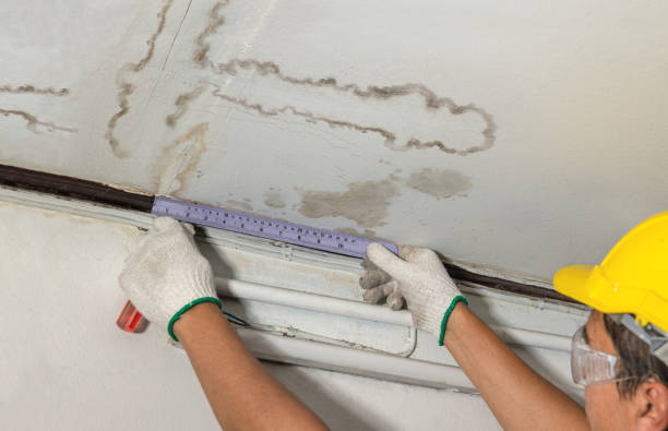 Reliable Water Damage contractor in Whitsett, NC by Water Damage Irwin